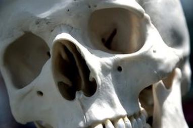 8 Foot Skeletons Uncovered in Ecuador sent for Scientific Testing 279030