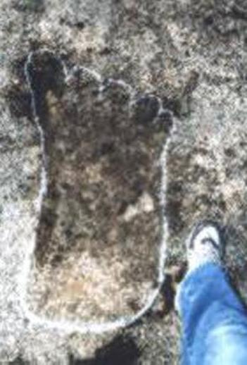 Traces Of Giants Discovered Worldwide 4833040