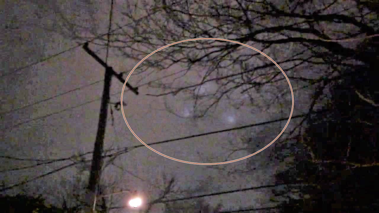 Strange Lights over Washington DC Night Sky Cats_41_orig